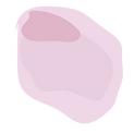 VIdeo flowers-24.png