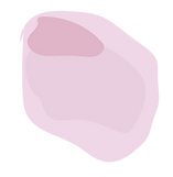 VIdeo flowers-24.png