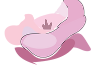 VIdeo flowers-10.png