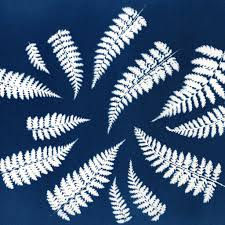 Thumbnail: Cyanotype and Anthotype Print Process Making
