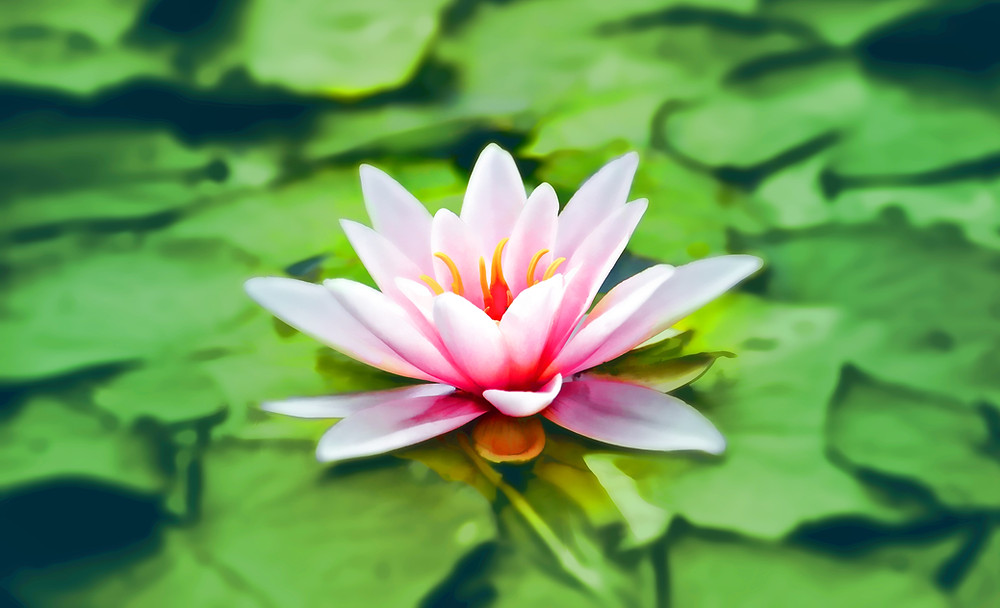 meditation