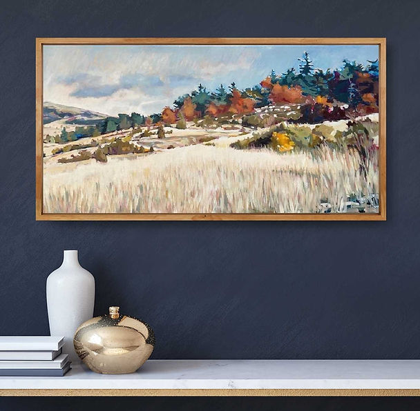 Caussols long grass (2).jpg