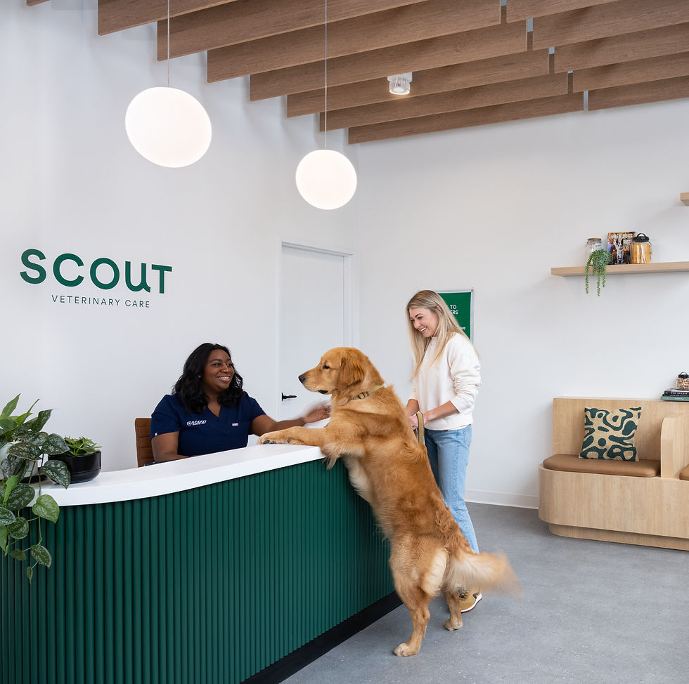 Scout Urgent Care