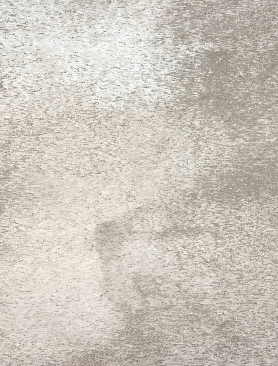 back wall_edited.jpg