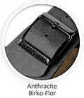 Anthracite Birko-Flor.png