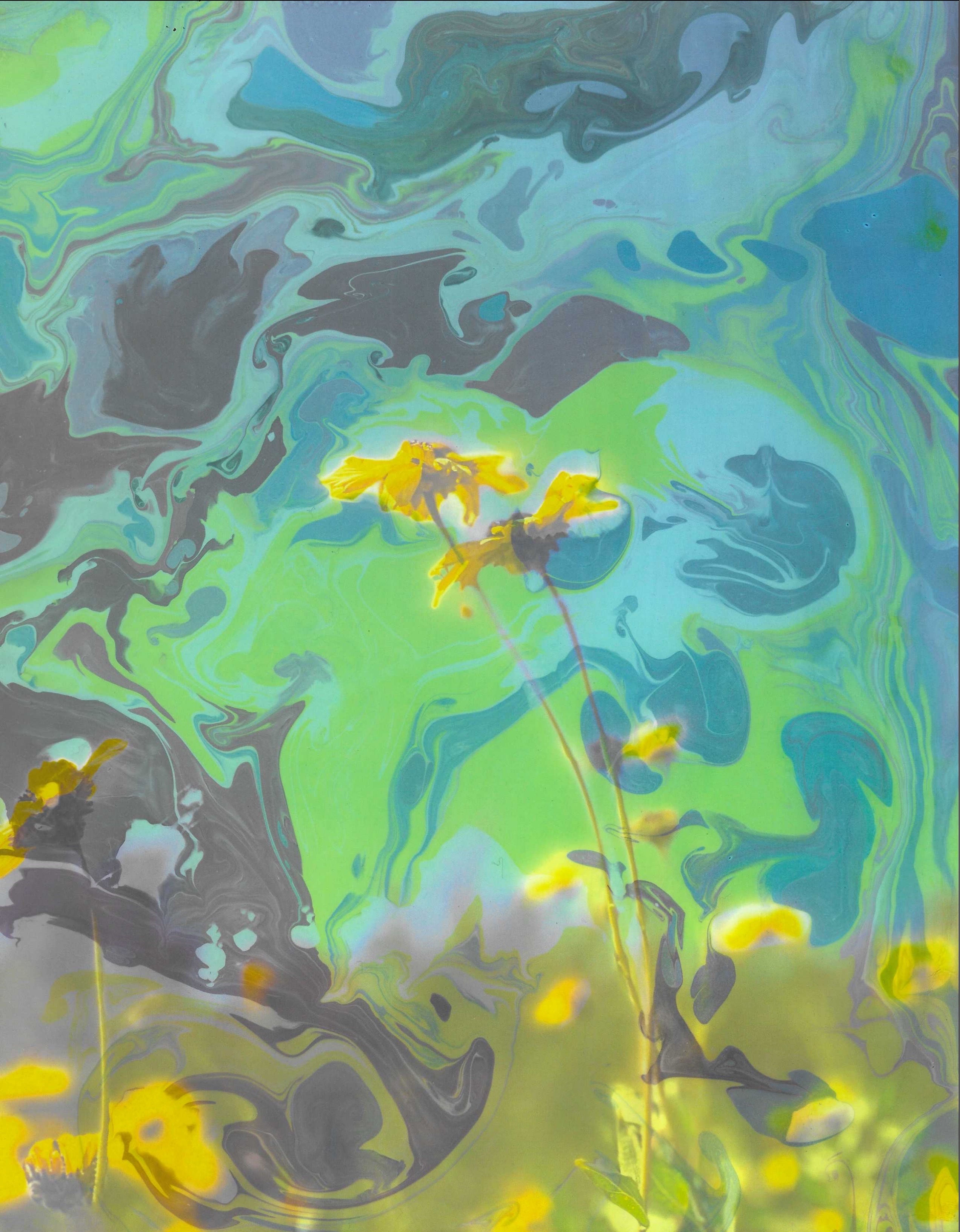 Cliff Bloom - Suminagashi Marbling Ink and Photography on Paper