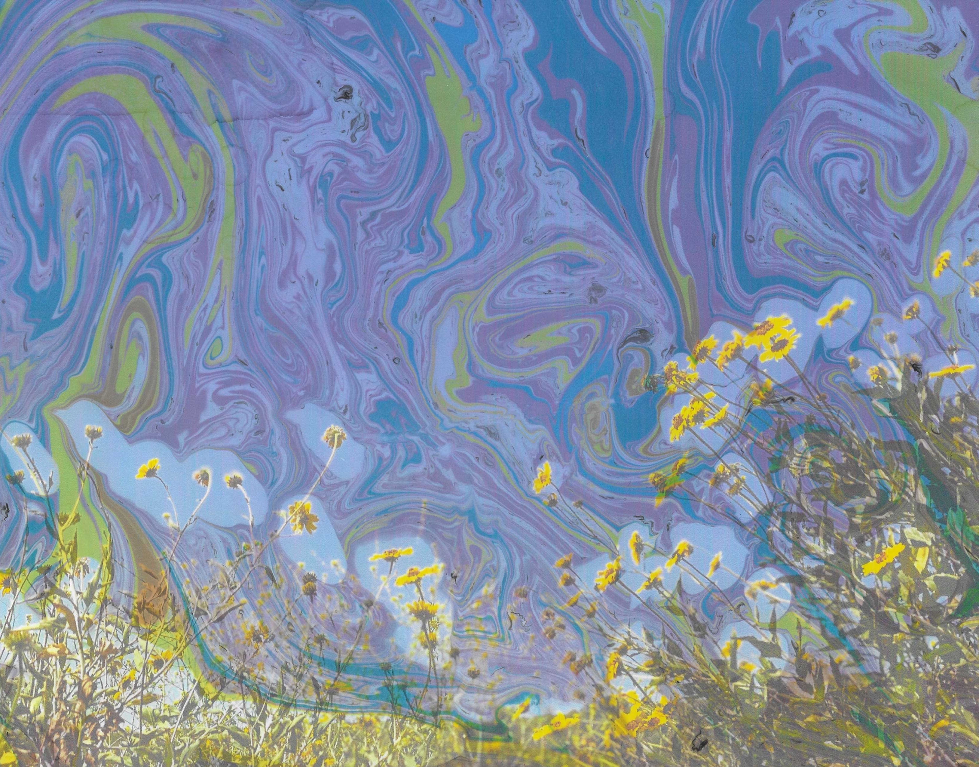 The Romantic- Suminagashi Marbling Ink and Photography on Paper