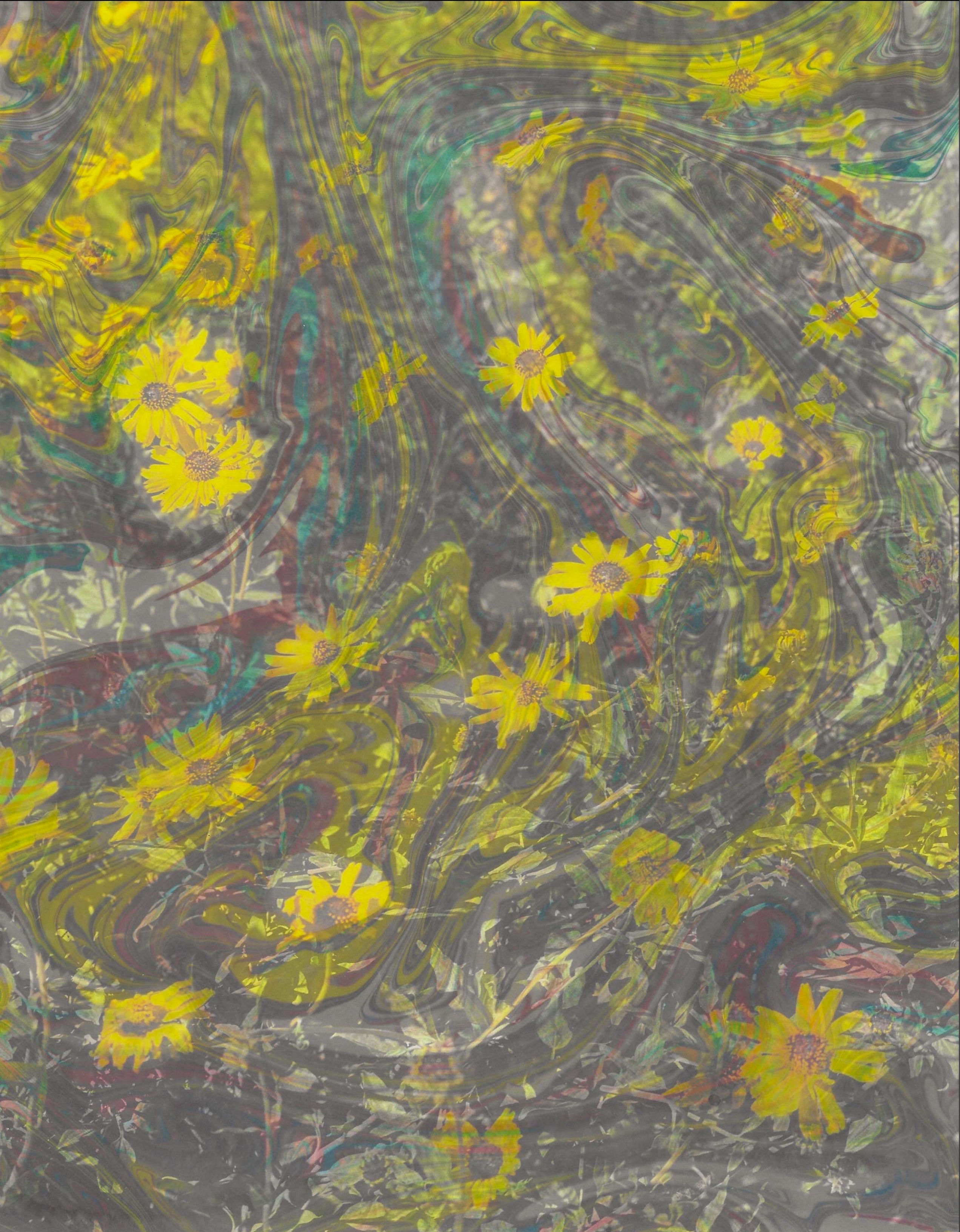 Wild Dream- Suminagashi Marbling Ink and Photography on Paper