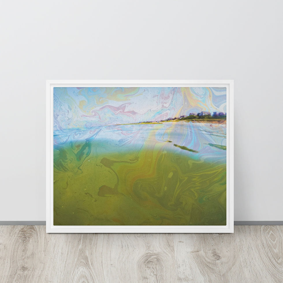 Thumbnail: "Bayside Sweetness" Framed Canvas Print 