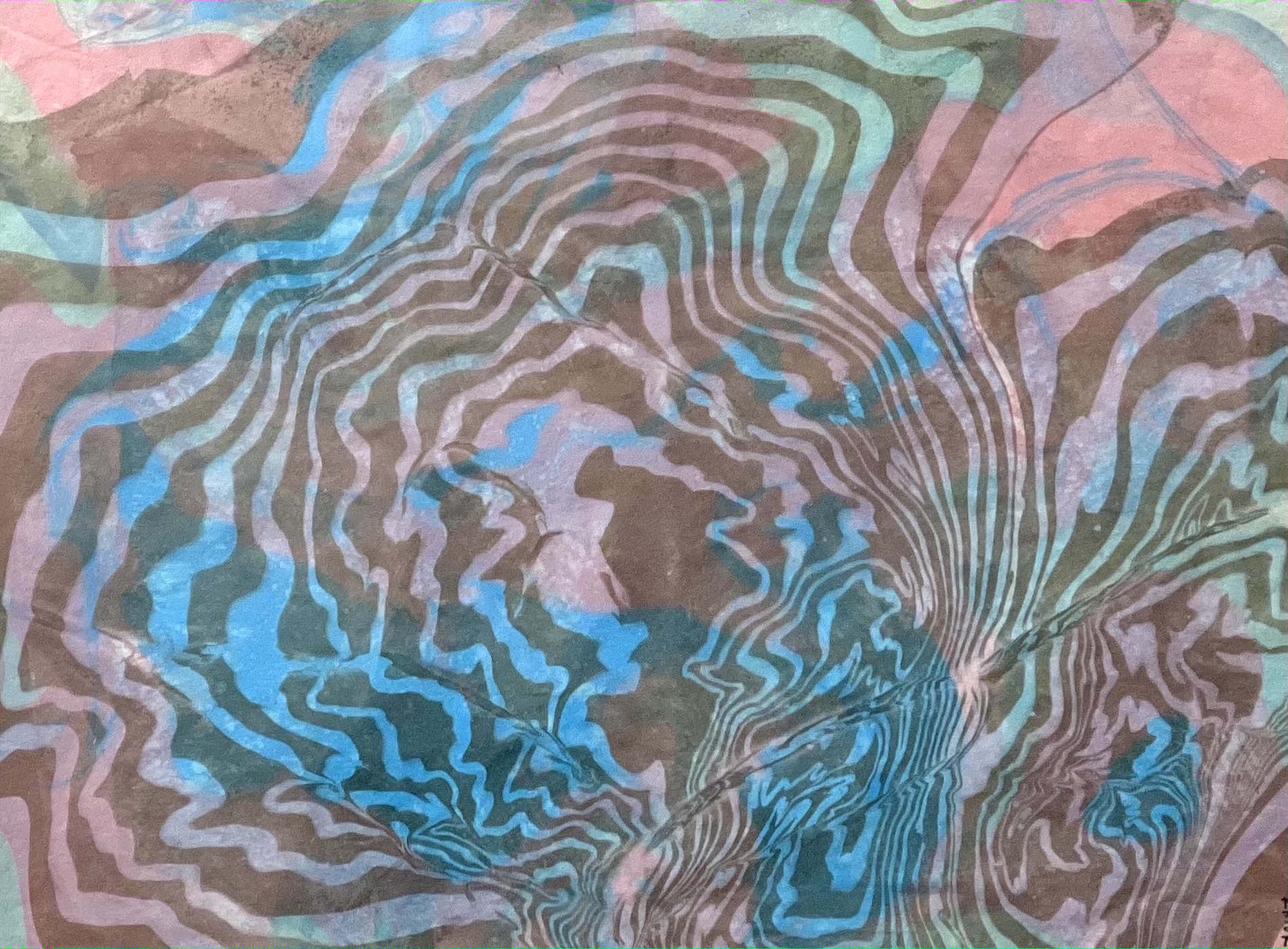 Water Echo I  Japanese Marbling, Ink on Paper I Oak Frame