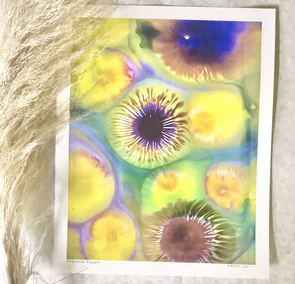 Thumbnail: Anemone Flower  - 8 x 10 inch Print