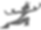 simbolo-wushu-bianco_edited.png