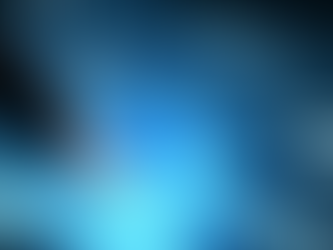 Where can you Invest?