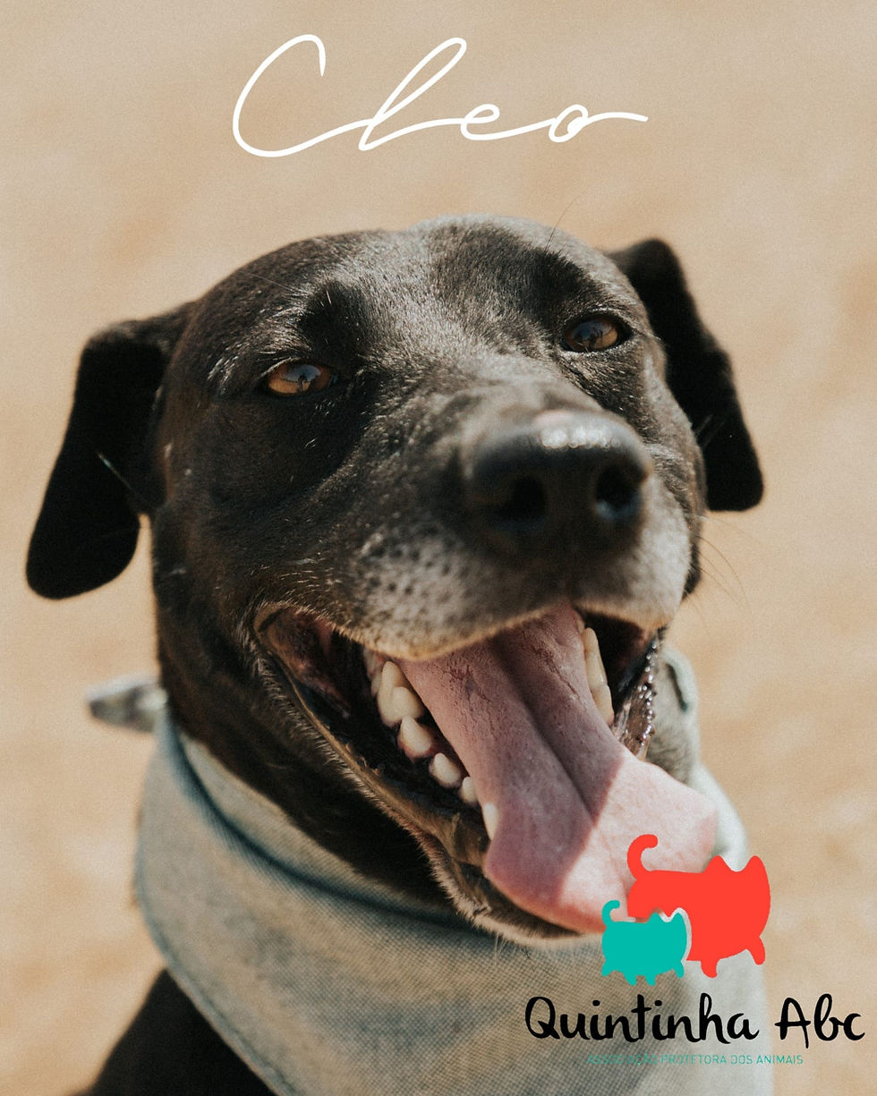 Cléo