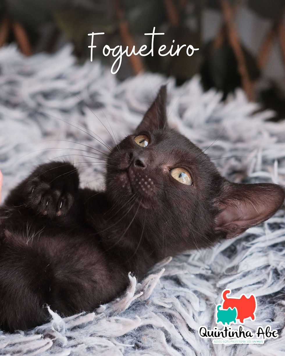 Fogueteiro