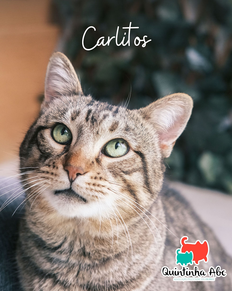 Carlitos