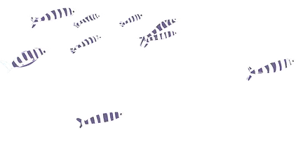 Poisson.webp
