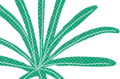 TEXTURES-1.png