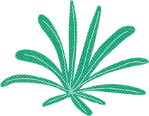 TEXTURES-2.png