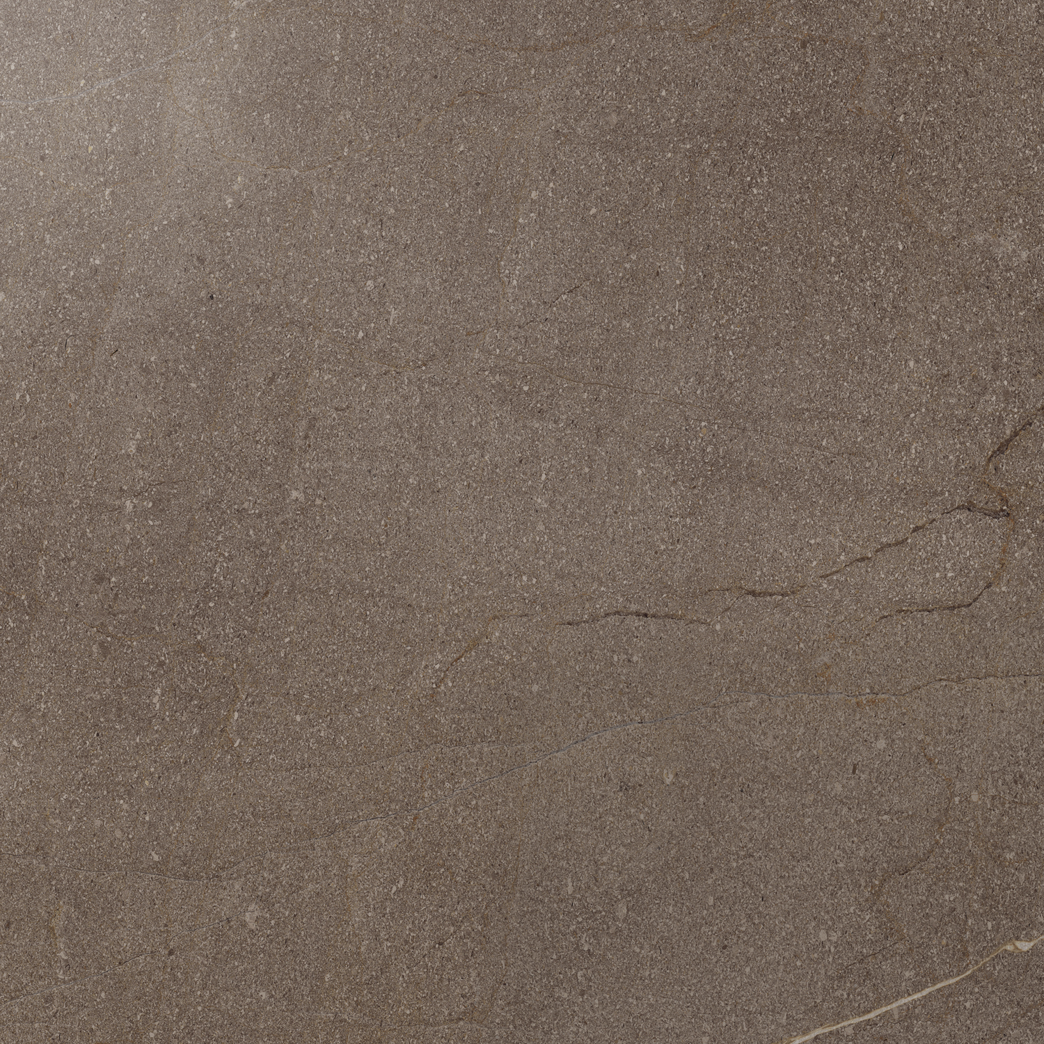 CONTEMPORA BURN НАТУР 60X60