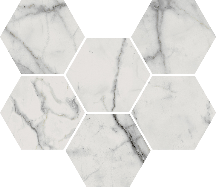 CHARME EVO STATUARIO MOSAICO HEXAGON_25X29_CER