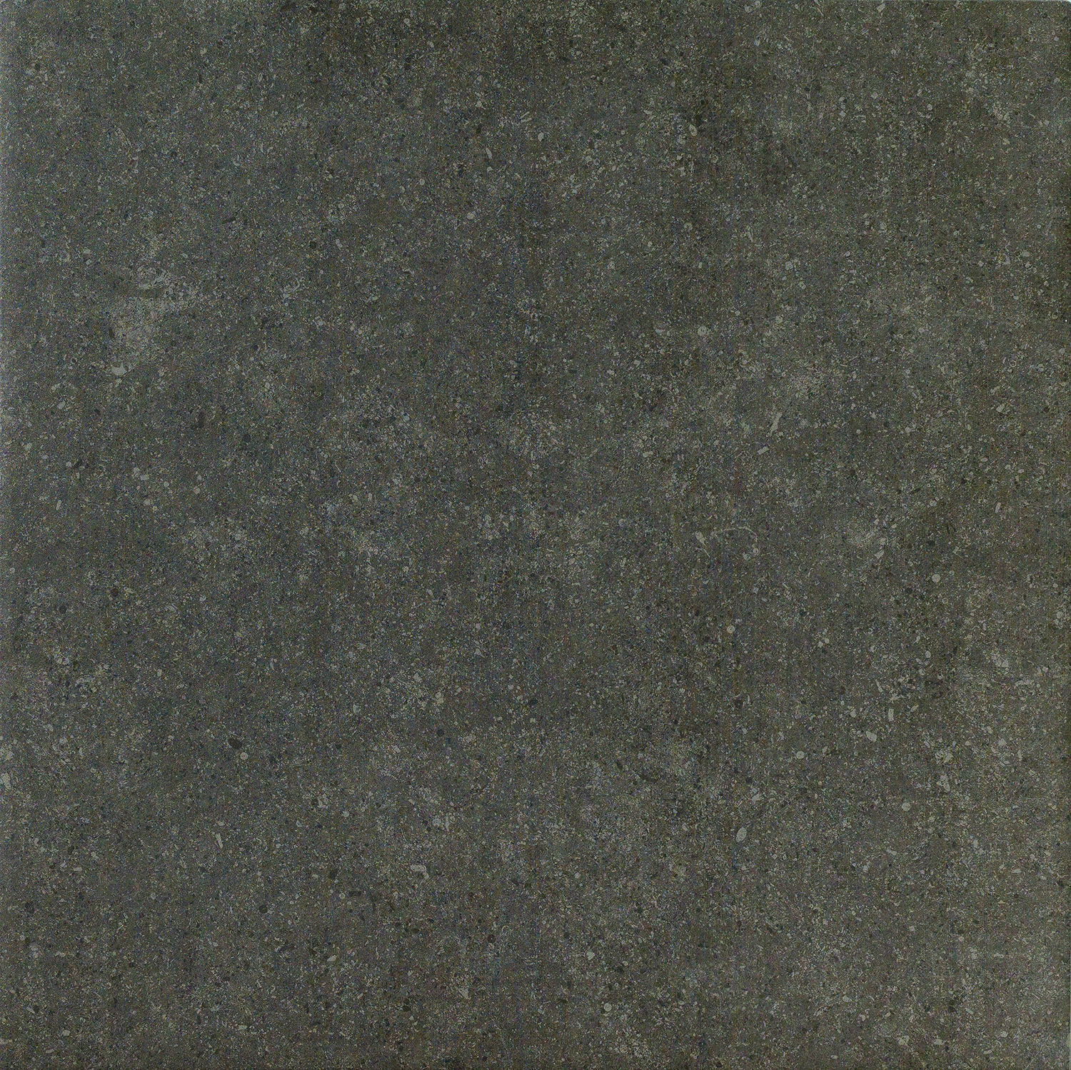 AURIS BLACK_60X60_NATRT
