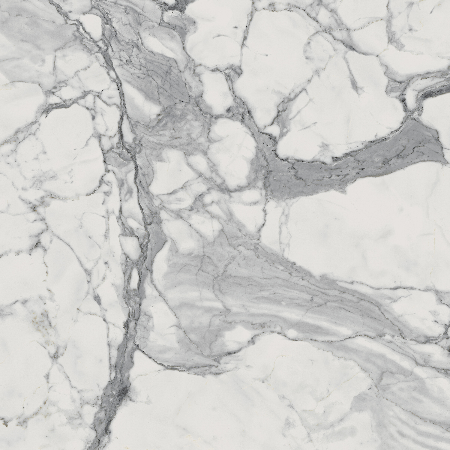 CHARME EVO_CHARME EVO STATUARIO_60X60_NATRT