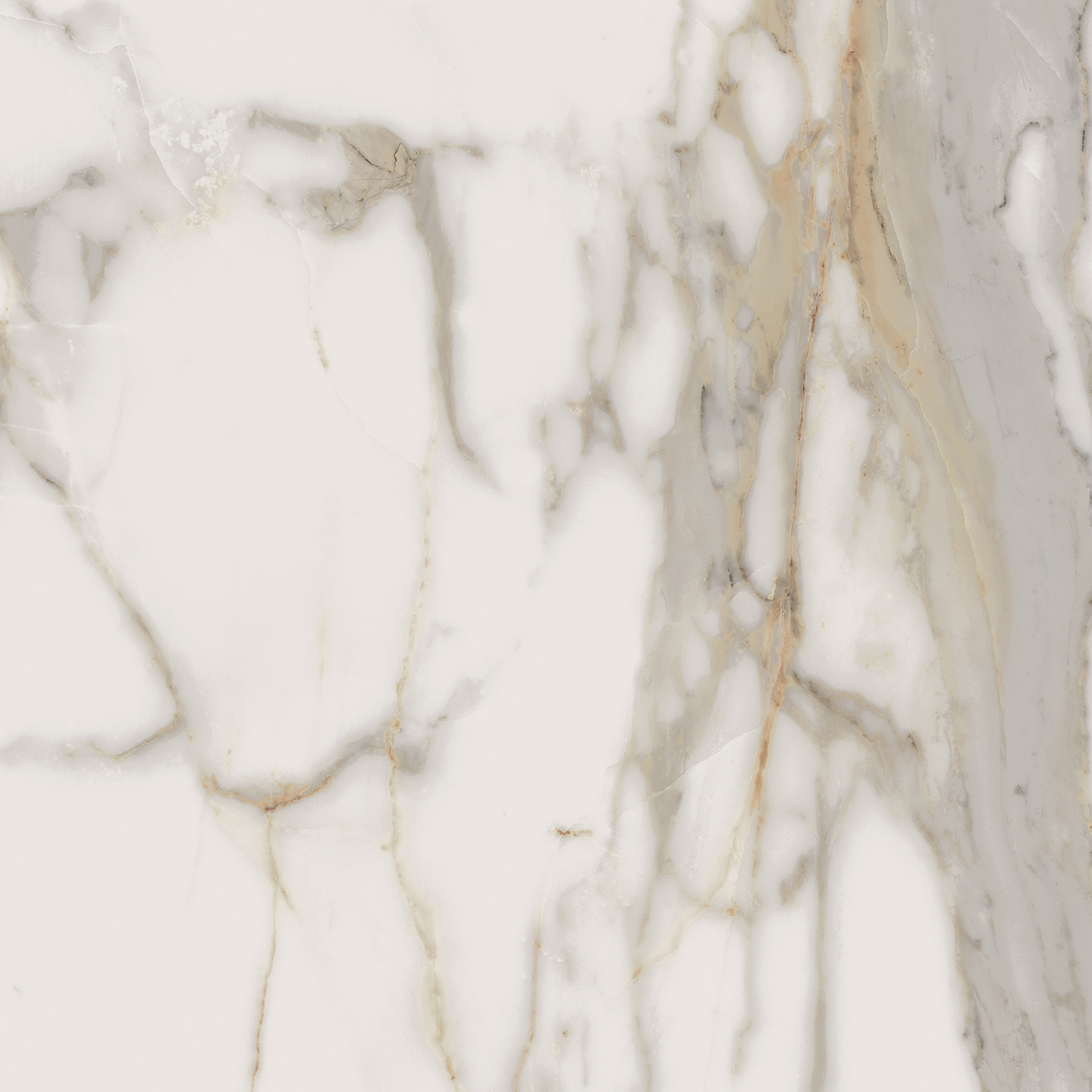 CHARME EVO_CHARME EVO CALACATTA_60X60_NATRT