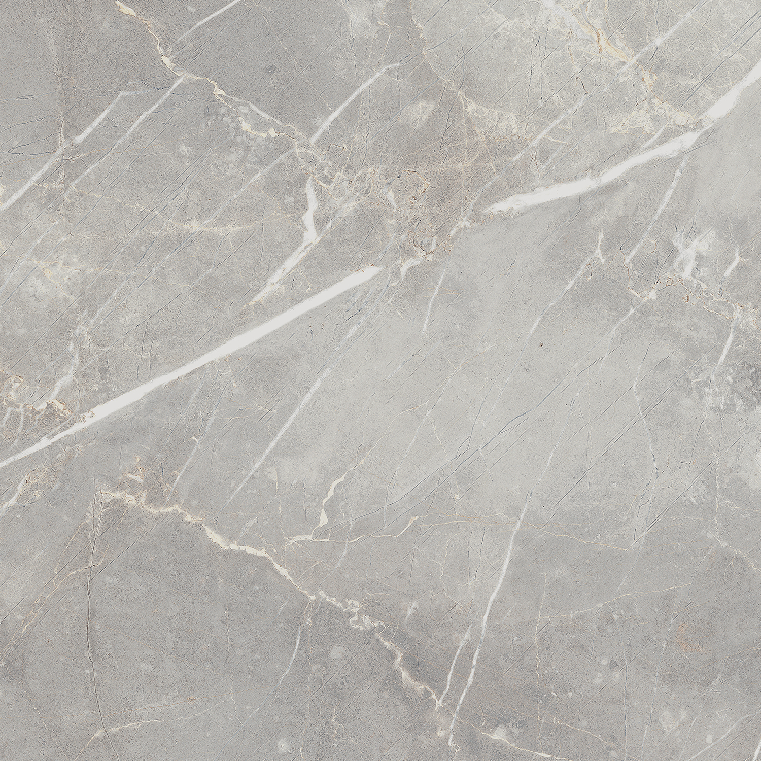 CHARME EVO_CHARME EVO IMPERIALE_60X60_NATRT