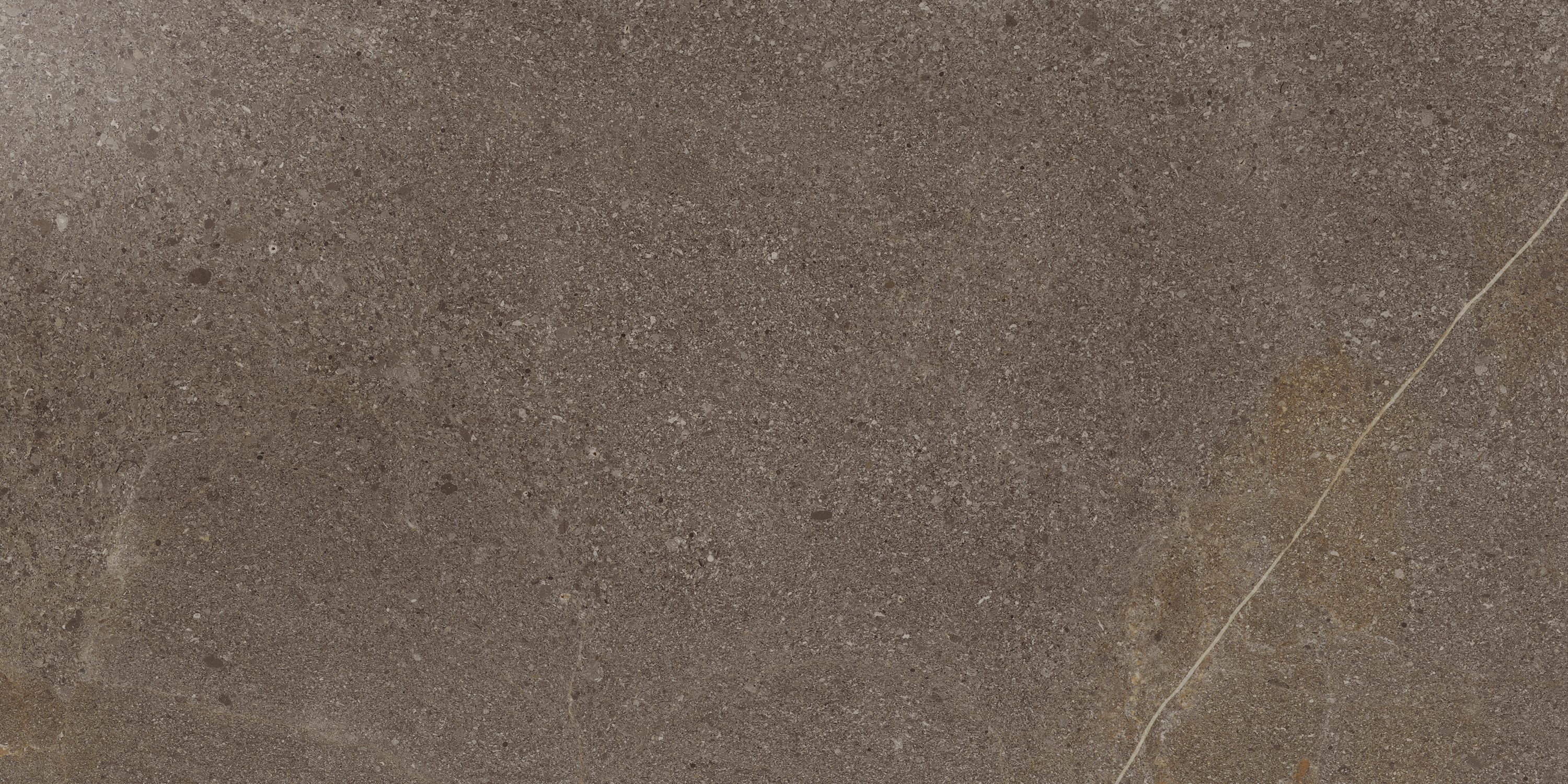CONTEMPORA BURN НАТУР 60X120