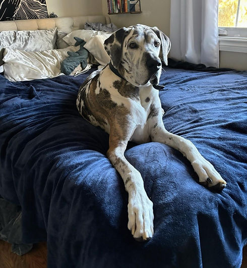 WhatsApp Image 2025-08-29 at 7.02.34 PM (2).jpeg