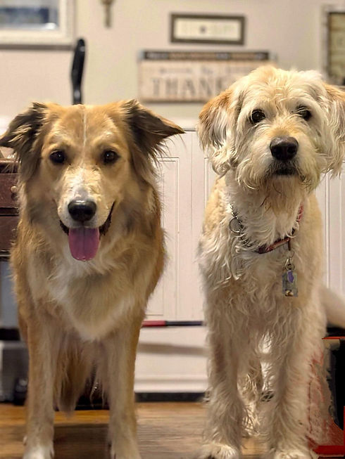 WhatsApp Image 2025-08-29 at 7.18.56 PM.jpeg