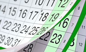 Calendar Background Green.png