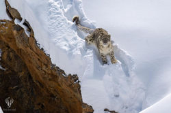 06032024-DSC_8199-Modifica