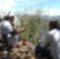 Lake%20Toka_edited.jpg