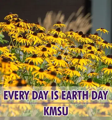 KMSU podcast.webp