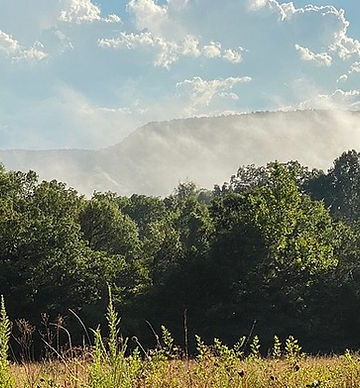 Nature-Afternoon-Arkansas-Ozarks-Field-5968409.jpeg