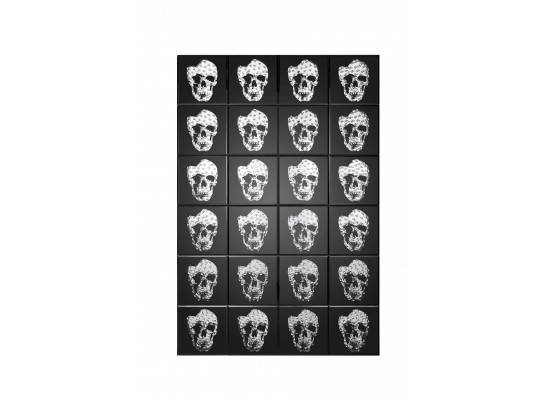 Mirrored Skull Print