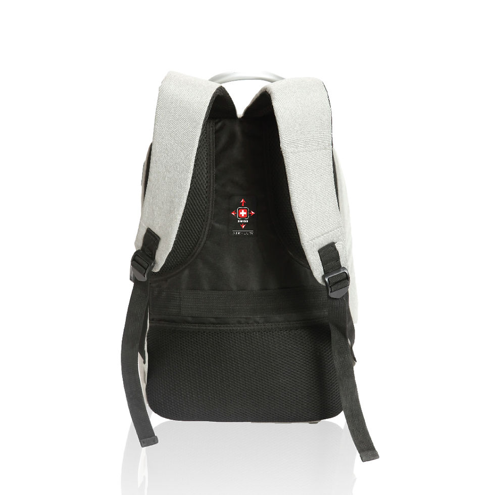 Thumbnail: SWISS Leon backpack