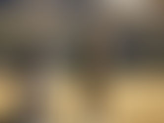 COVID-19 & Pet Airline Travel: What To Know Before Flying With Your Pet