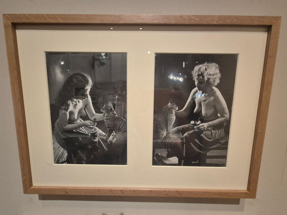 תערוכת ורנר בראון במוז"א-צלמה גילי מצא