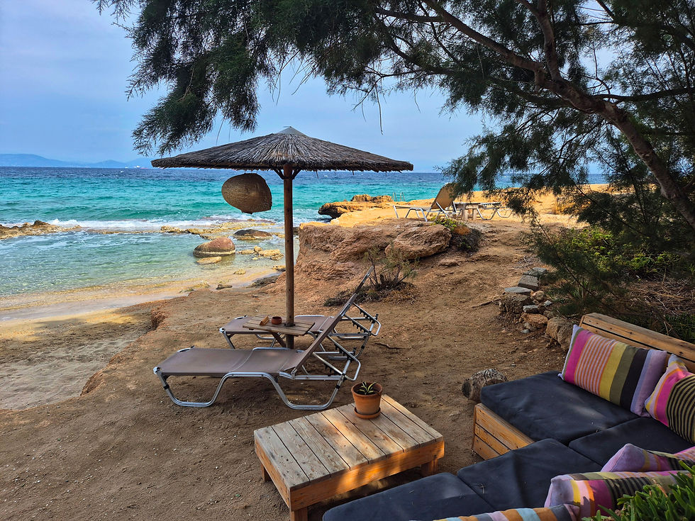 הביץ בר באגינה-צלמה גילי מצא