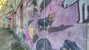 ורוצלב האמנותית-על גשרים, גמדים ואמנות רחוב