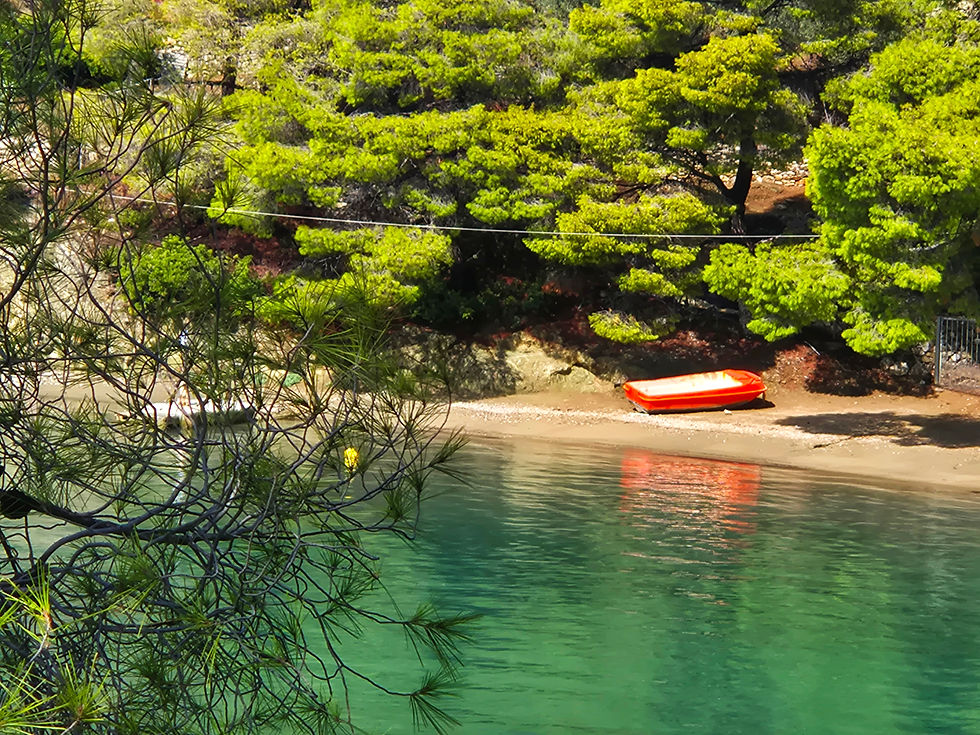 האי פורוס, יוון-צלמה גילי מצא