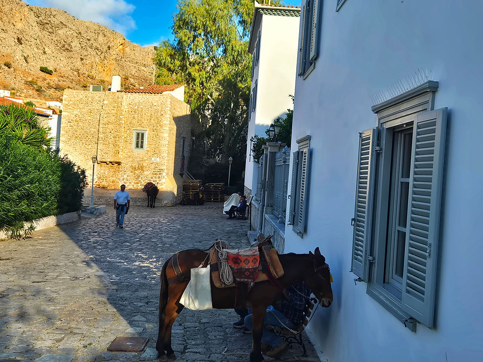 האי הידרה יוון-צלמה גילי מצא