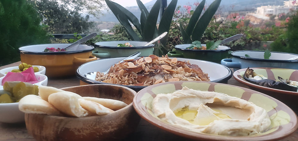 בגינה של מירונה בעין קינייא-צלמה גילי מצא