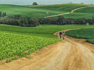 צפון הנגב-יזמויות שוות