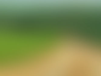 צפון הנגב-יזמויות שוות