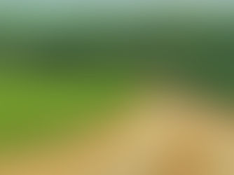 צפון הנגב-יזמויות שוות