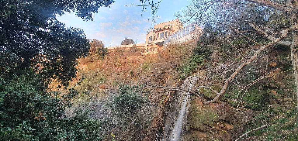בגינה של מירונה בעין קינייא-צלמה גילי מצא